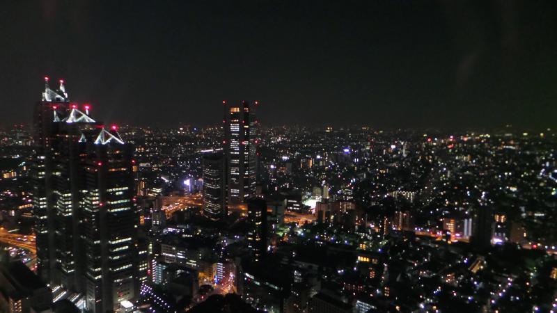 #14: Visit Tokyo. The view from the Tokyo Metropolitan Government Building.