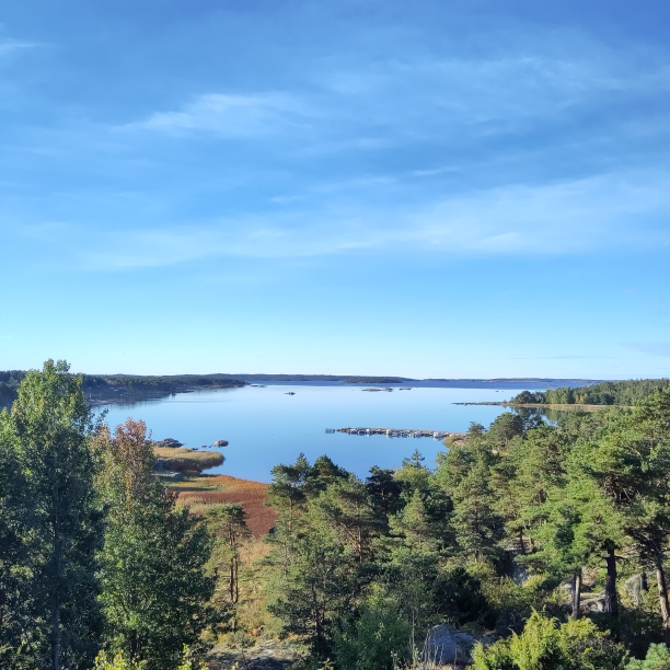 Scenery view of the fjord on a sunny summer day.