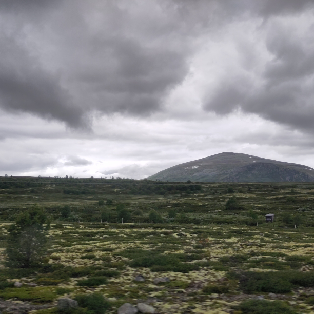 The desolate high mountains during the summer.