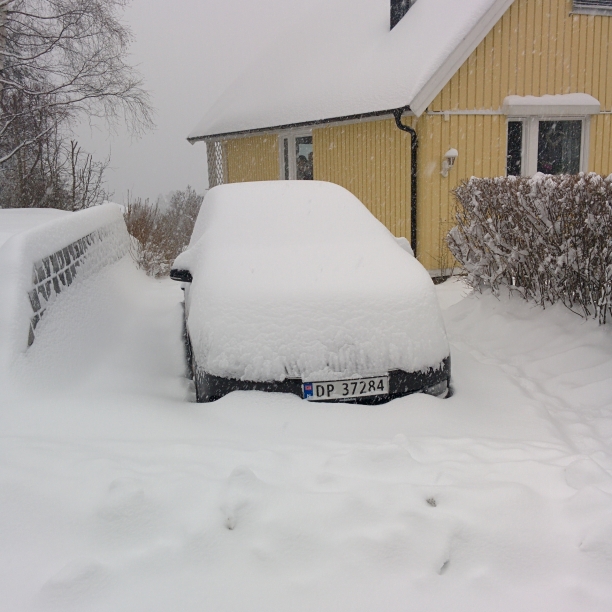 2015-03-26 10:31:19 CET (Tag: miscellaneous) (Nesodden, Norway) Yesterday: No snow. Today: Snow.