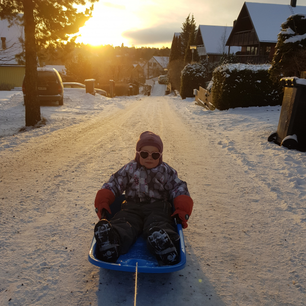 Sunday morning sledding. It lasted for roughly 7 minutes before she got tired of it.