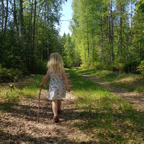 2018-05-27 12:23:55 CET (Tag: miscellaneous) (Ullensaker Municipality, Norway). A stroll in the woods.