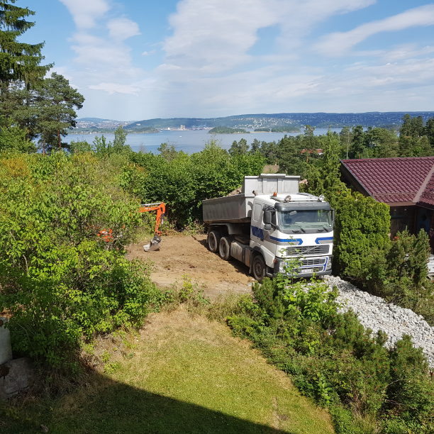 2018-06-28 14:58:28 CET (Tag: miscellaneous) (1450 Nesoddtangen, Norway). Thumbs up for not falling on top of the neighbors car.