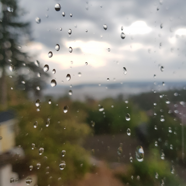 2018-07-28 20:05:59 CET (Tag: miscellaneous) (1450 Nesoddtangen, Norway). Finally, after two months, a little rain.