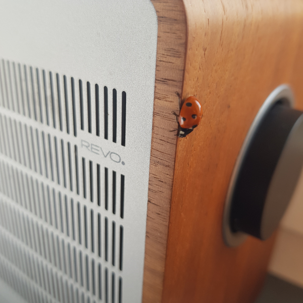 2018-07-31 15:06:22 CET (Tag: miscellaneous) (1450 Nesoddtangen, Norway). Meet a ladybug with a sense for high quality gadgets.