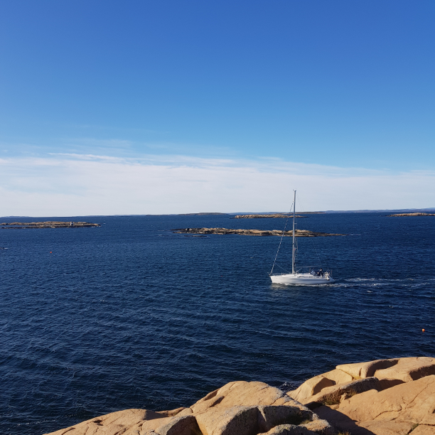 A sailboat by the coast.