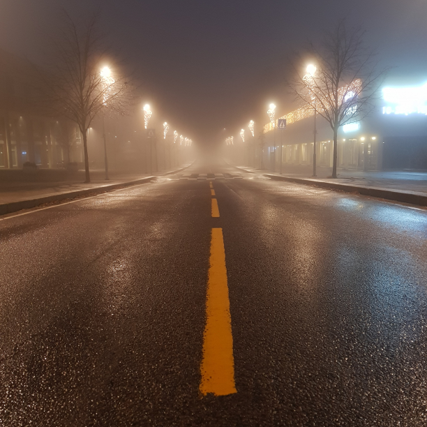 A closeup of a wet and slippery road in the fog.