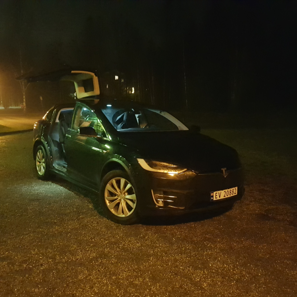 A black Tesla Model X with its falcon door open.