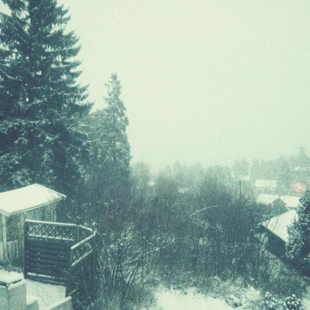 December 8, 2013. Nesodden, Norway. December 8, 2013. Nesodden, Norway.