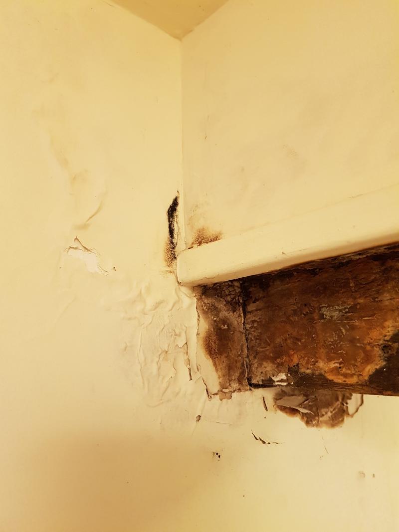 A serious case of black mold