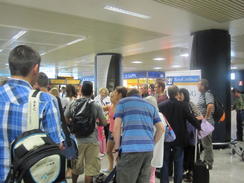 The herd has been gathered and is ready to move from the airport.