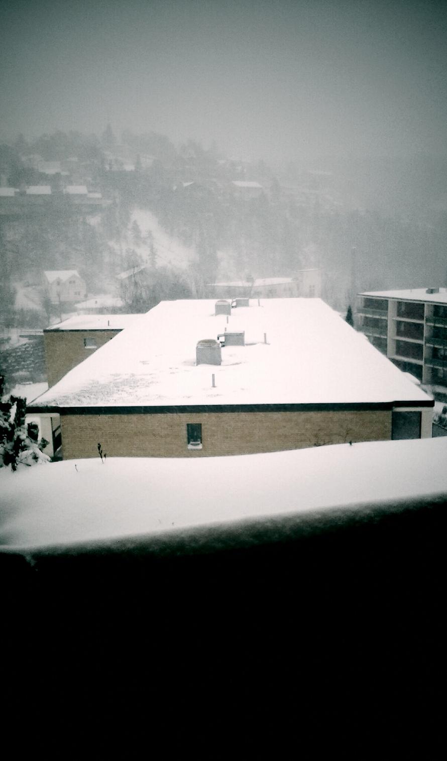 December 14, 2012. Winter wonderland