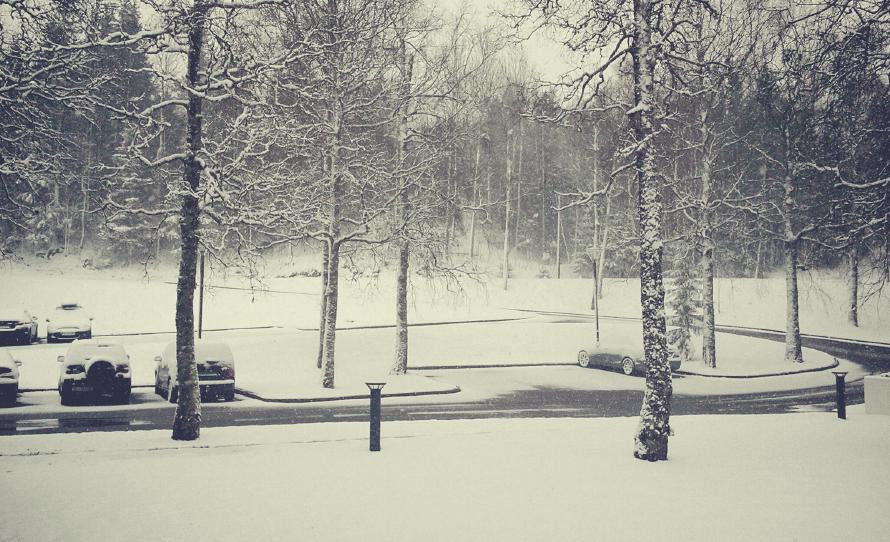 Winter wonderland, May 5, 2012, Lysebu, Oslo, Norway.