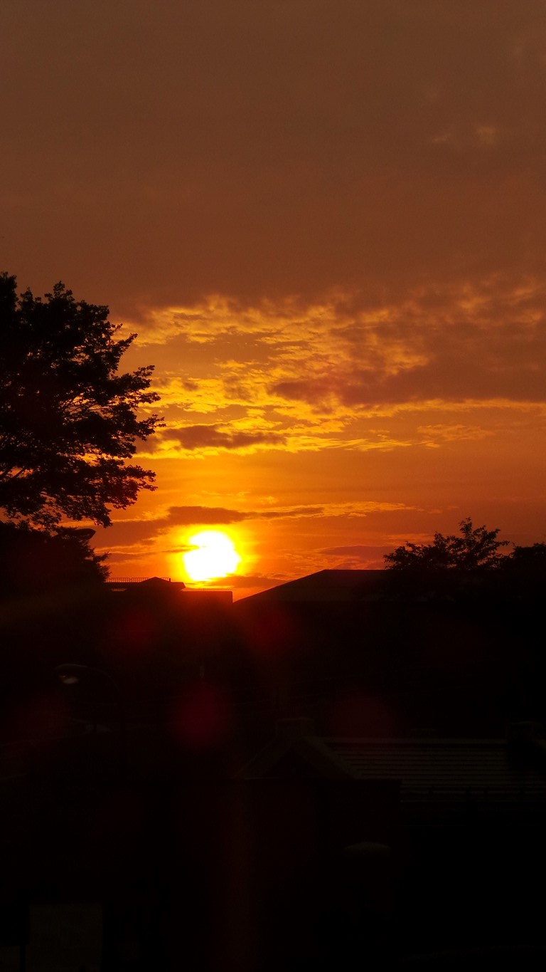 And the sun sets on Kyoto.