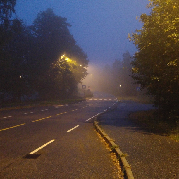 Early morning fog.