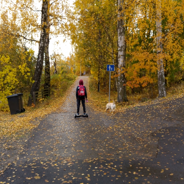 This is what happens when you ask a teenager to walk the dog.