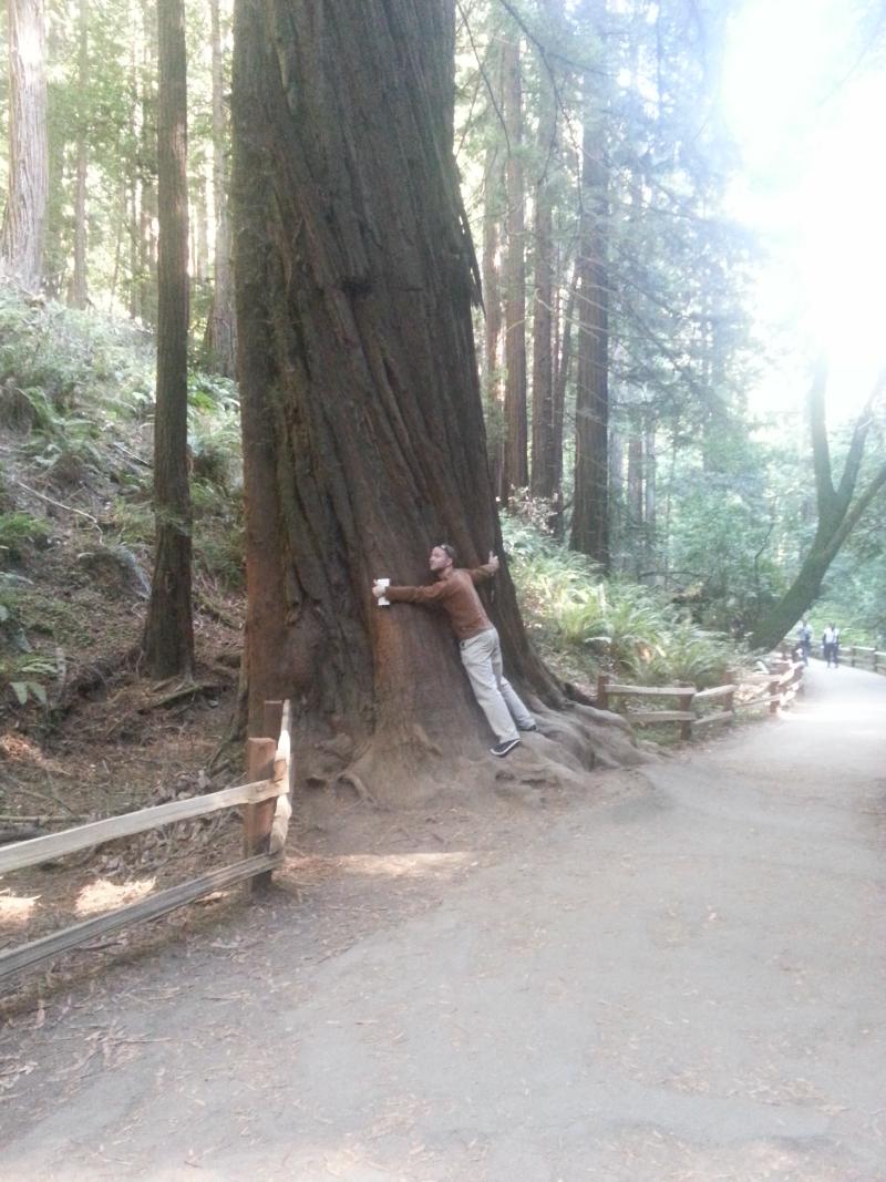 Tree hugger, Muir Woods, California.
