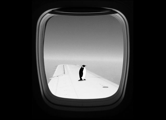 Window Seat. Design by Ross Zietz. Window Seat. Design by Ross Zietz.
