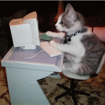 Animated GIF of a cat typing on a tiny keyboard.