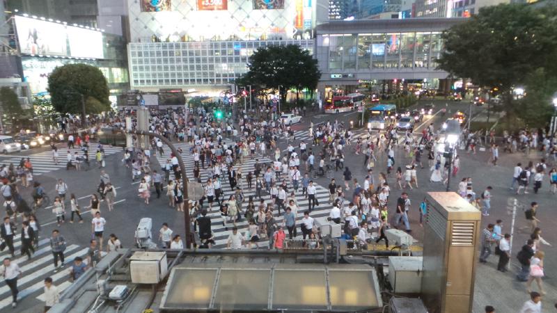 The crossing in front of Shibyua Station, supposedly the world&rsquo;s busiest crossing