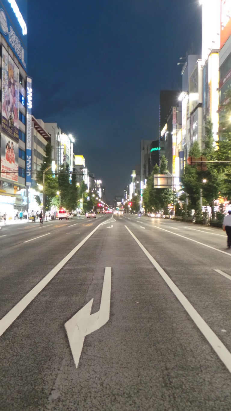 On the streets of Akihabara.