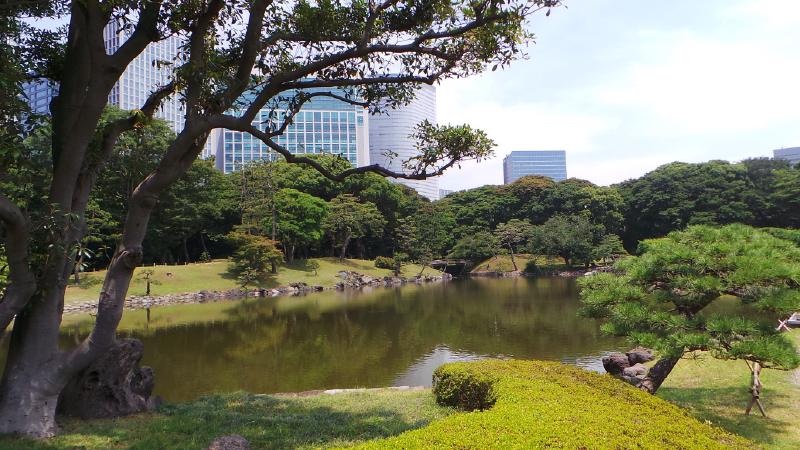 Hama Rikyu, a large landscape garden in central Tokyo.