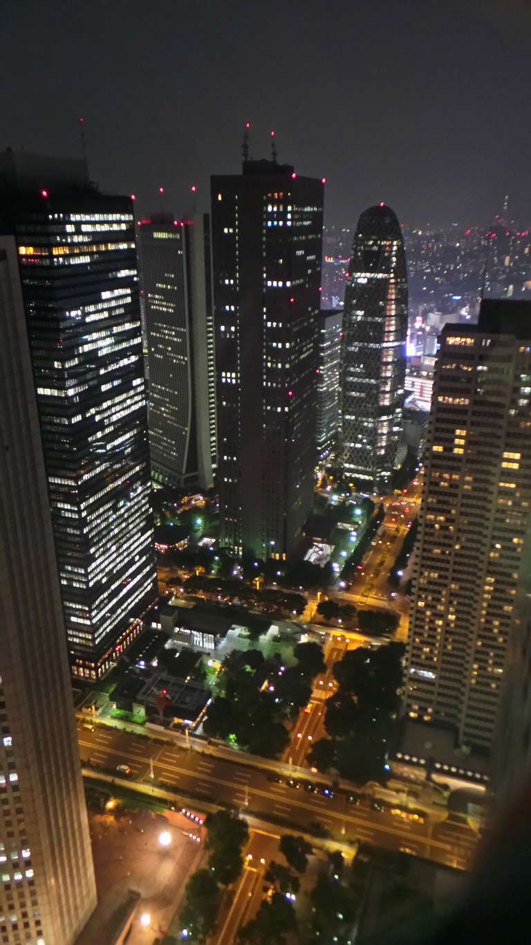 Tokyo by night, as seen from the Tokyo Metropolitan Government Building.