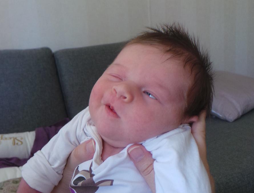 Meet Quasimodo Cartman. Meet Quasimodo Cartman.
